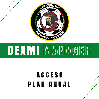 CeforCap Roman Reyes - Dexmi Manager Plan Anual